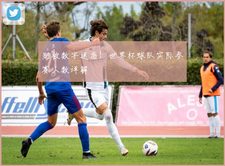 别被数字迷惑！世界杯球队实际参赛人数详解